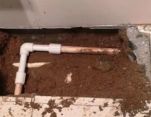 城西测漏水哪家好