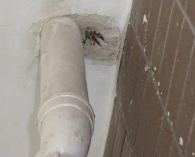 城西漏水检测哪家好